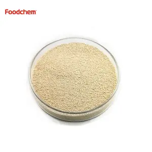 L-lysine Monohydrochloride 25KG/BAG Bulk L-Lysine Monohydrochloride Feed Grade