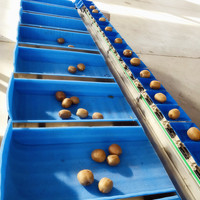 Sorteermachine Voor Sorteermachines Voor Fruitgroenten Aanpassen