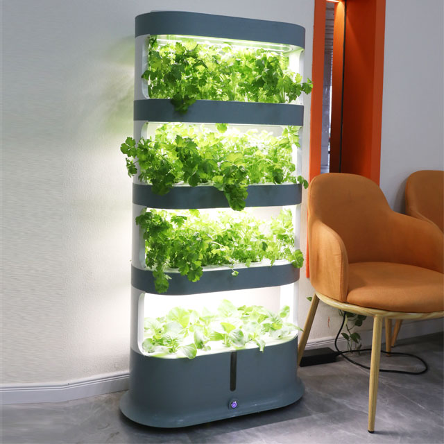 Chinese Manufacturer Low Price Indoor Hydroponic System Farm DIY Growth Kit For Home