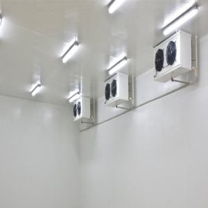 Nouvelle chambre froide de meilleure qualité <span class=keywords><strong>et</strong></span> à bas prix Chambre froide positive <span class=keywords><strong>et</strong></span> négative de grande capacité à vendre - Product Image 6