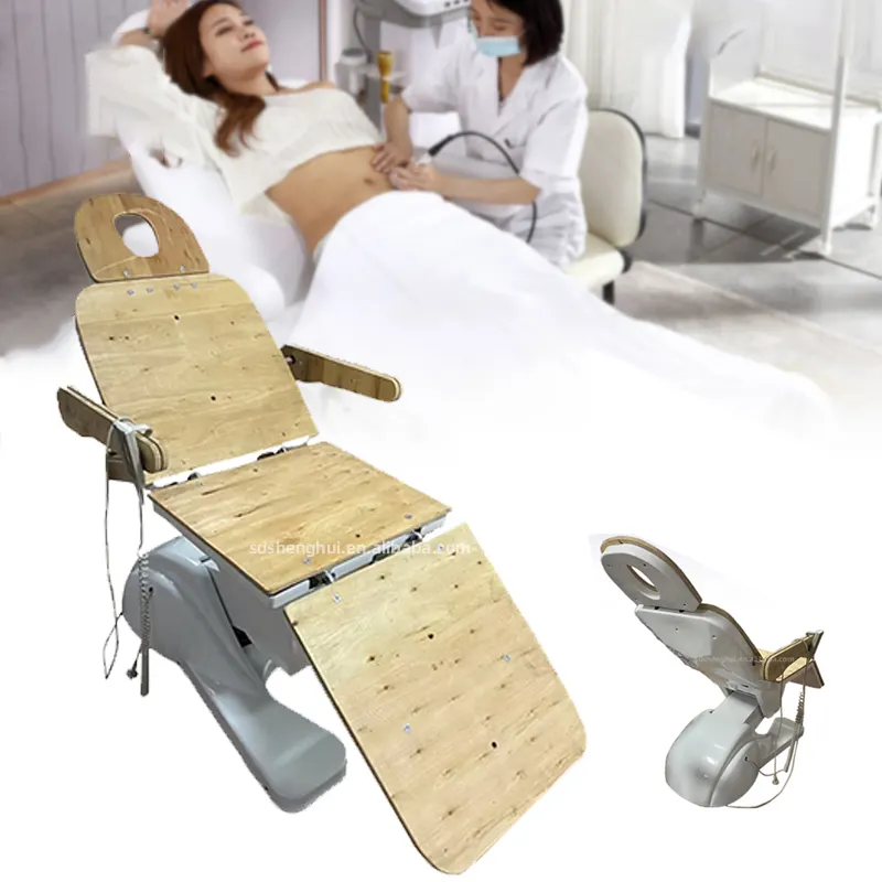 Salon Furniture Beauty Bed Frame Motor Parts Spa Bed Facial Electric Beauty Bed