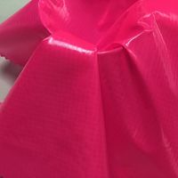 100% Nylon 20D 0.25mm Ribstop Double côtes tissu scintillant motif tissé de couleur vive pour les vestes d'hiver enduites de PU