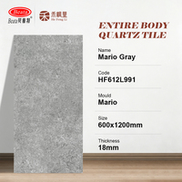 Carreaux de porcelaine d'extérieur 18 mm, pavés écologiques en porcelanato antidérapants mats pour allées extérieures 60x120