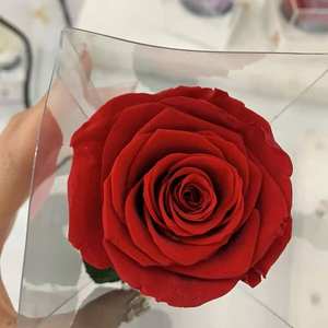 Rosa Preservada Natural de Alta Calidad, Hecha a Mano, Real, Duradera, Inmortal, Eterna, con Tallo - Product Image 3