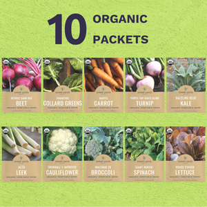 Certifié biologique 2025 saison variété Pack chou-fleur <span class=keywords><strong>navet</strong></span> chou frisé carottes plus résistant au froid pour intérieur extérieur plantation sans OGM - Product Image 2