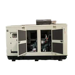 China Manufactory 250kw Best price 312.5KVA biogas CNG Power Genset Plant Coal Natural Gas Generator