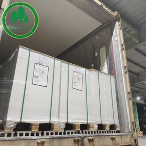 C1S Ivory Board Premium Packaging FBB <b>Printing</b> <b>Paper</b> - Product Image 6