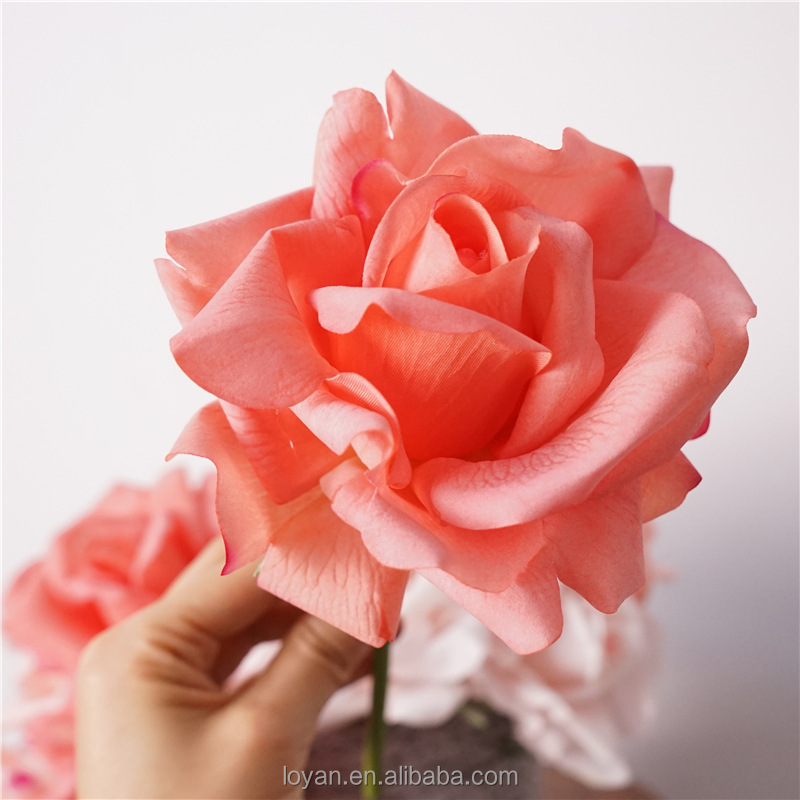 #4 rosa intenso