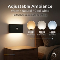 Veilleuse LED à induction infrarouge pour détection corporelle, lampe murale magnétique rechargeable Type-C pour chambre, escalier, toilettes