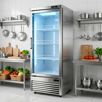 Réfrigérateur Vitrine à Porte Unique, Système de Refroidissement par Air et Option de Refroidissement par Tuyau, Économe en Énergie 304, Refroidisseur de Boissons pour Bar