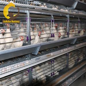 Jinmuren a type layer chicken fully automatic poultry <strong>farms</strong> 10000 15-20 years layer chickens farm <strong>bird</strong> cage - Product Image 2