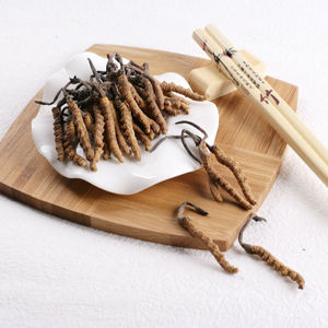 100% Pure Organic Food Grade Cordyceps Sinensis Mycelium Extract Poeder - Product Image 1