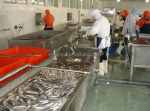생선 가공 라인 통조림 대구 - Product Image 6