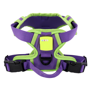 Arnés de Gato Personalizado que Brilla en la Oscuridad, Chaleco Ajustable en Forma de H con Correa para Perros Pequeños y Gatitos, Suministros para Mascotas con Etiqueta Privada OEM - Product Image 1