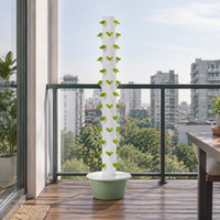 Tour de jardinage verticale à 13 niveaux, système hydroponique, arrosage automatique pour la culture de légumes en intérieur et en extérieur