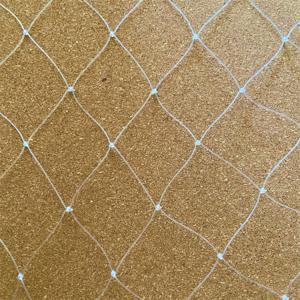 Kích Thước Tùy Chỉnh <span class=keywords><strong>0.6Mm</strong></span> Nylon Trong Suốt Nhựa Net 30X30Mm Mèo An Toàn Ban Công Bảo Vệ Net - Product Image 1