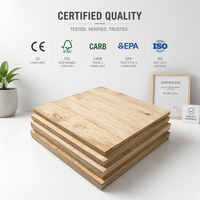 Kayu Keras Eucalyptus Guangxi 18mm Plywood Kelas Furnitur Lemari Dapur Semua Jenis Plywood Laminasi