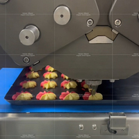 Deux trémies incrustant des biscuits de macaron de pain rempli formant le biscuit mince de machine formant le biscuit
