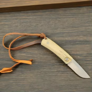 K890 Blade Mini cuchillo de bolsillo Mammoth Ice <span class=keywords><strong>Fang</strong></span> Handle Acero inoxidable Mini cuchillo de bolsillo plegable para cortador de caja Camping Uso diario - Product Image 6