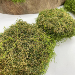 8 Piezas de <span class=keywords><strong>Musgo</strong></span> <span class=keywords><strong>Artificial</strong></span> para Decoración de Micro Paisajes y Bonsáis, Follaje <span class=keywords><strong>Artificial</strong></span> Realista - Product Image 3