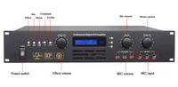 Berase Promotion de haute qualité karaoké amplificateur de puissance Audio réverbération numérique karaoké mélangeur amplificateur