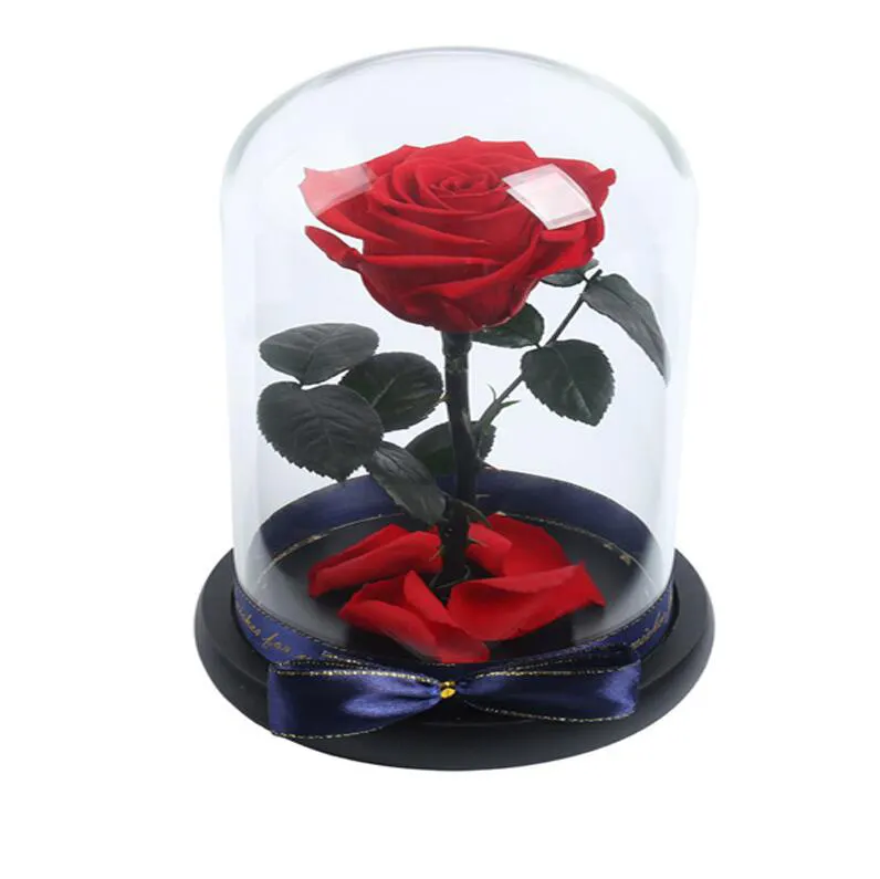 Socle en bois transparent, 1 pièce, dôme de verre pour la rose préservée