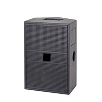 DS-112 12 pouces Haut-parleur 300W Haut-parleurs Système de son professionnel pour événement