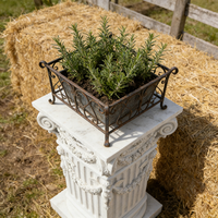 Socle de jardin en résine sculptée en forme de couronne - Finition effet marbre, base élégante pour jardinières et décoration extérieure (style colonne grecque)