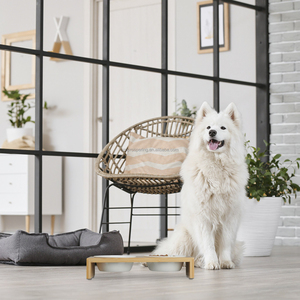 बिल्लियों और छोटे कुत्तों के लिए ऊंचा बांस का कटोरा स्टैंड फीडर दो सिरेमिक कटोरे में उठाया गया कुत्ता बिल्ली का भोजन और पानी का कटोरा शामिल है। - Product Image 3