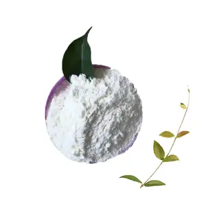 Carboxyméthylcellulose CMC de haute qualité pour l'alimentation et d'autres industries prix de gros Offre Spéciale CMC en vrac