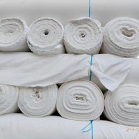 Tissu Pongee Non Blanchi 100% Polyester 100D 210T Tissé Extensible Résistant à l'Eau pour Filles - Vente en Gros
