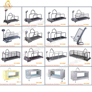 EUR Pet động vật phục hồi chức năng máy dưới nước trị liệu thủy lực Máy chạy bộ Pet Thủy trị liệu Máy chạy bộ nước với bàn đạp đi bộ - Product Image 6