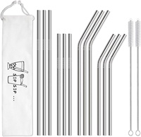 Ensemble de pailles en acier inoxydable multi-tailles, droites et courbées, avec sac en tissu