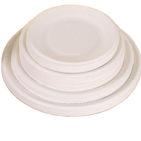 Assiettes à dîner en papier bagasse biodégradable personnalisées RX, compostables, jetables, 10 pièces, style simple et moderne, plusieurs tailles