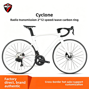 Vélo de route TWITTER CYCLONE GRAVEL-V10620 |   Cadre de guidon en carbone, jantes en aluminium Wave, 24 vitesses, levier de vitesses électronique sans fil, frein à disque hydraulique - Product Image 1