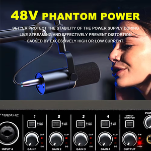 Interface audio BMG U404 avec alimentation fantôme 48V 2-en-1 pour connecteur 4 canaux pour enregistrement en studio - Product Image 2