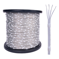 Guirlande lumineuse de Noël RVB adressable individuellement WS2815 Seed Pixel Light 12V 4PIN avec câble de données de secours, IP67, en plastique, effet magique