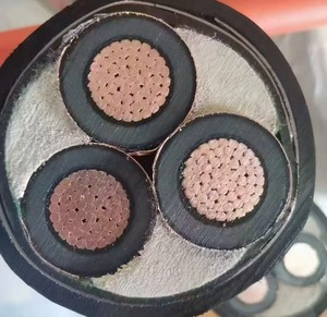 สายไฟฟ้าแรงสูงชนิดหุ้มเกราะหุ้มฉนวน XLPE แกนทองแดง <span class=keywords><strong>3</strong></span> แกน ขนาด 8.7/15kV รุ่น YJV22 สำหรับใช้งานในอุตสาหกรรมและเหมืองแร่ - Product Image 6