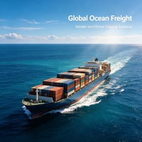 Expédition maritime professionnelle pour le commerce extérieur, espace stable, sans déplacement de conteneurs en période de pointe, DDP.