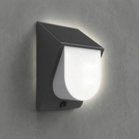 Lampe murale solaire IP54 avec capteur de proximité optique, portée de détection 5-6m, mono silicium, LED 0.2W, 3 CCT, liaison 2.4G, pour extérieur et jardin