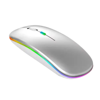 Souris sans fil BT rechargeable ultra fine Mini optique 1600DPI RGB 3D ergonomie Design pour ordinateur portable PC en stock