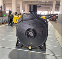 Pompe centrifuge à courant continu de pompe à eau solaire 110V 0.75HP pour l'irrigation agricole OEM personnalisable pour la grande surface terrestre