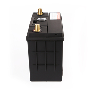 แบตเตอร์รี่สำหรับสตาร์ทรถยนต์<span class=keywords><strong>46B24L</strong></span> 40Ah 12.8V ชุดแบตเตอรี่ลิเธียมเหล็กแบตเตอรี่รถยนต์พร้อมการป้องกัน BMS - Product Image 4