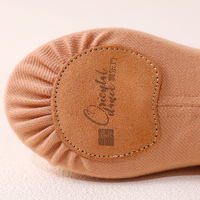 Zapatillas de Ballet de Suela Suave y Alta Elasticidad para Mujer, Zapatillas de Ballet Profesionales Ligeras para Práctica de Danza