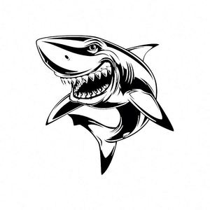 Pegatina Paul & Shark - Product Image 1