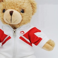 Uniforme d'étudiant personnalisé avec divers logos d'école 25cm peluches peluches ours en peluche jouets en peluche