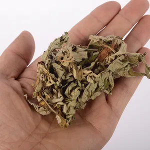 Geleneksel fabrika saf doğal Ai Ye Wormwood leafdry kuru Mugwort ot