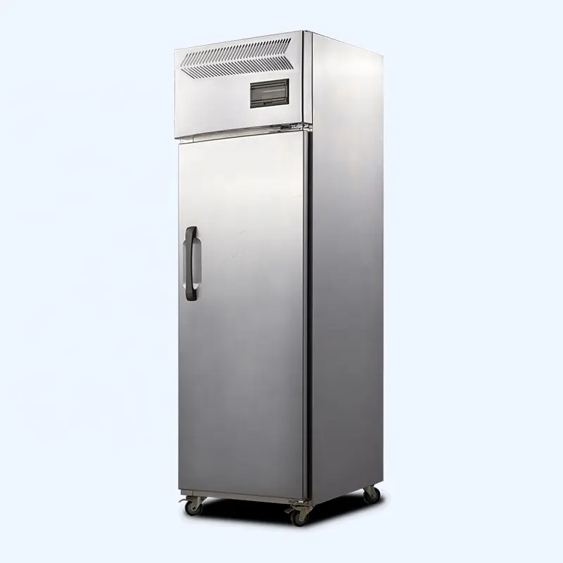 Refrigerador comercial, nevera para frutas y verduras, almacenamiento de huevos