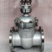 Katup Gerbang Premium 316 316Ti SS Baja Tahan Karat 304 6 Inci Kelas 150 Tipe Flens Wedge