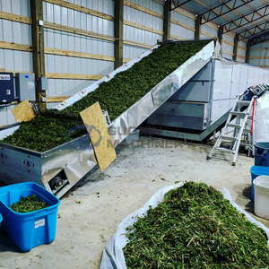 Equipo de Secado de Banda de Malla de Alta Capacidad para Secar Hojas de Frijol Alas, Puntas de Frijol Largo y Brotes de Cowpea - Product Image 5